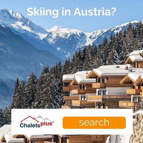 Website Chaletsplus