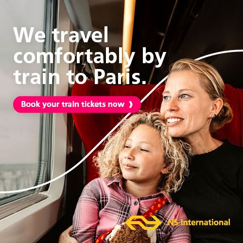 Website NS international